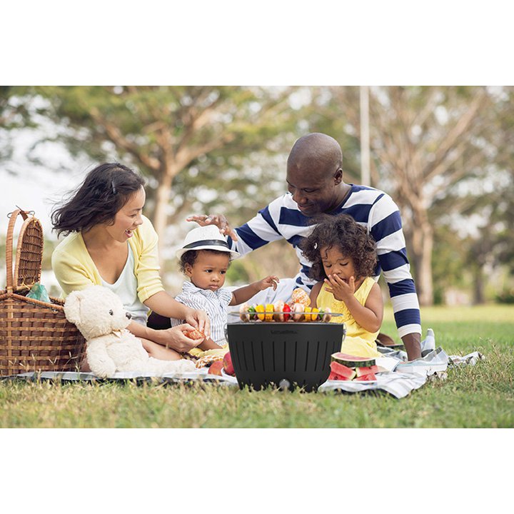 LotusGrill Mini - Ø 292 mm - Grijs - Beschikbaar tot 2 personen