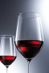 Schott Zwiesel Vina Bourgogne wijnglas - 0.4 Ltr - Set van 6 glazen